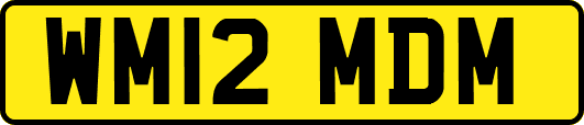 WM12MDM