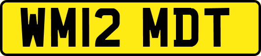 WM12MDT