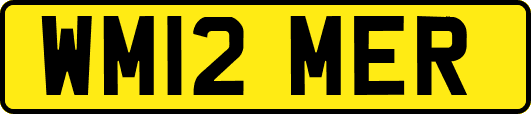 WM12MER