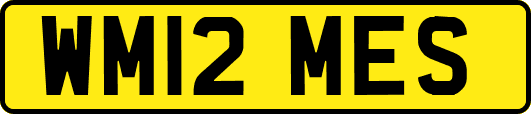 WM12MES
