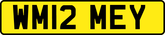 WM12MEY