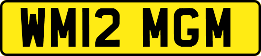 WM12MGM