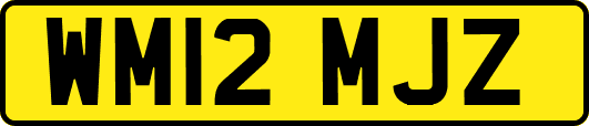 WM12MJZ