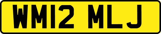 WM12MLJ