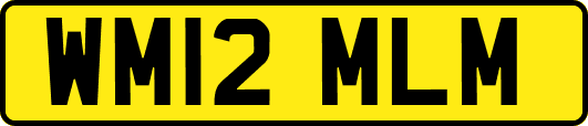 WM12MLM