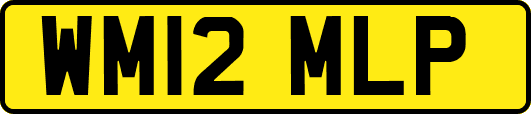 WM12MLP