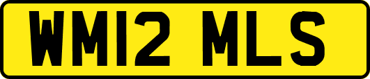 WM12MLS