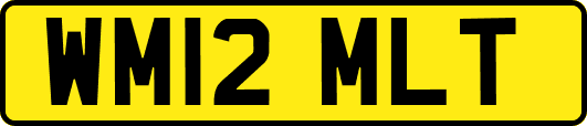 WM12MLT