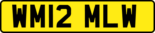 WM12MLW