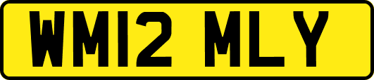 WM12MLY