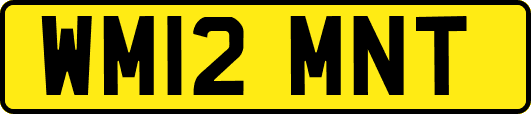 WM12MNT