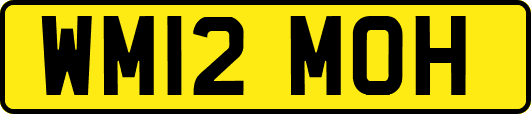 WM12MOH