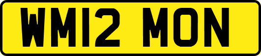 WM12MON