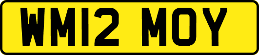 WM12MOY