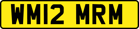 WM12MRM