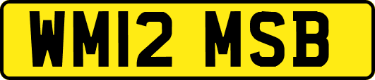 WM12MSB