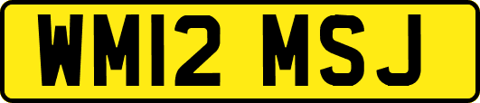 WM12MSJ
