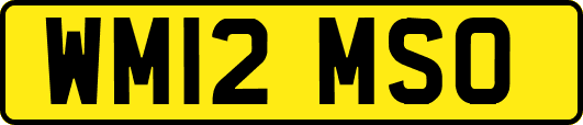 WM12MSO