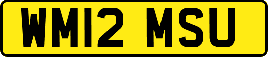 WM12MSU