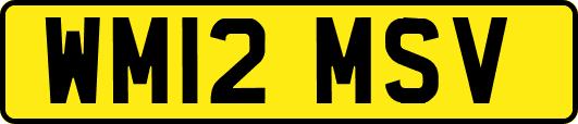WM12MSV