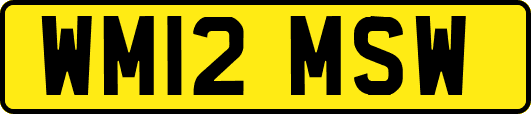WM12MSW