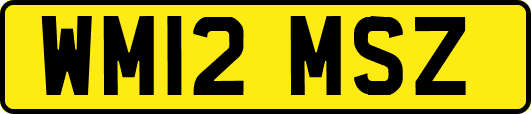 WM12MSZ