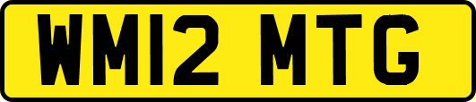 WM12MTG