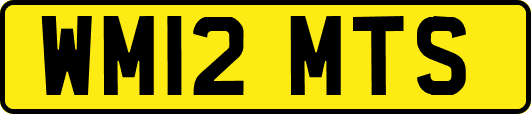 WM12MTS