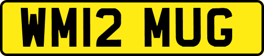 WM12MUG