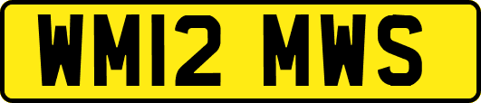 WM12MWS