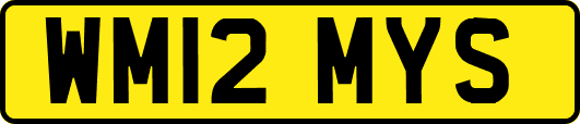 WM12MYS