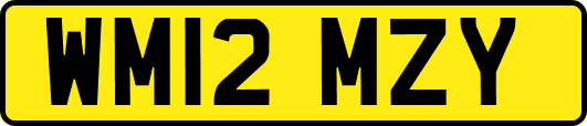 WM12MZY