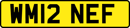 WM12NEF