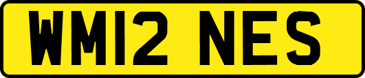 WM12NES