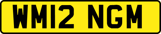 WM12NGM