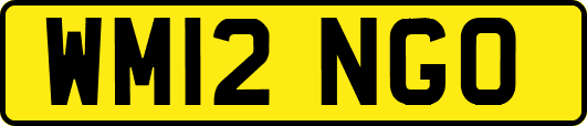 WM12NGO