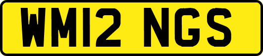 WM12NGS