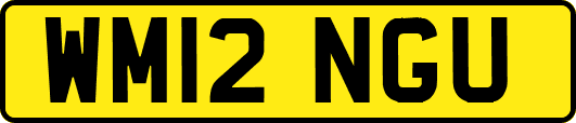 WM12NGU