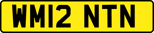 WM12NTN