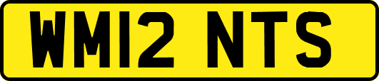 WM12NTS