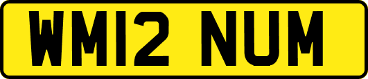 WM12NUM