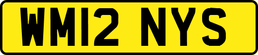 WM12NYS