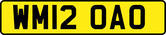 WM12OAO