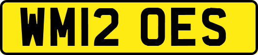 WM12OES