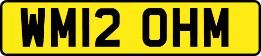 WM12OHM