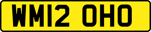WM12OHO