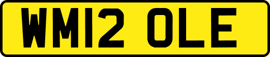WM12OLE