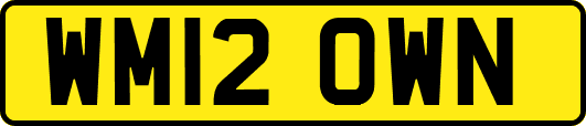 WM12OWN