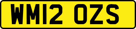 WM12OZS