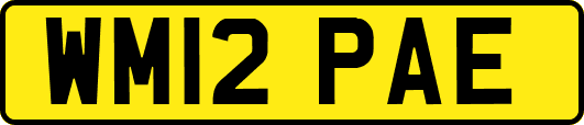 WM12PAE